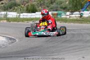 20110501_ales_agnus (3429)